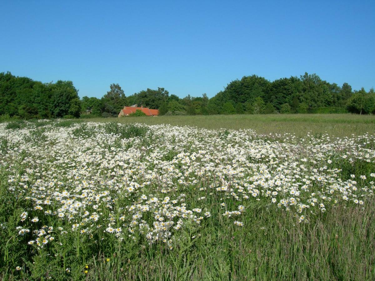 Heath Farm Holiday Cottages Swerford Zewnętrze zdjęcie